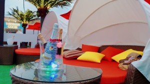 IMG_5798 IMG_5798